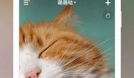 七彩猫吃瓜视频下载安装,轻松获取热门娱乐内容