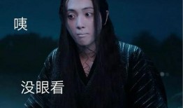 吃瓜阿道夫视频大全集,揭秘视频大全集中的趣味人生