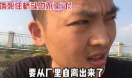 亮哥吃瓜视频大全,揭秘娱乐圈幕后故事