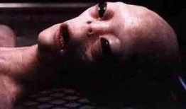 吃瓜遇到外星人视频,吃瓜群众意外捕获外星人降临地球瞬间