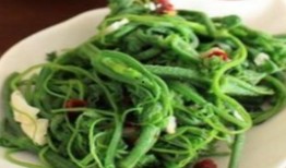 面瓜花怎么吃最好吃视频,视频教你家常做法