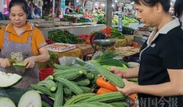 吃瓜视频柳州市,揭秘柳州本土美食与趣事