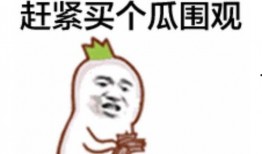 推特吃瓜群众是谁啊视频,一场网络热传视频背后的故事