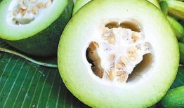 吃脆瓜完整视频,一窥视频中的清新口感与田园风情