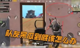 吃鸡呆瓜教学视频大全下载,轻松入门，畅玩绝地求生