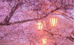 老鬼在线吃瓜视频下载,热门视频下载攻略全解析
