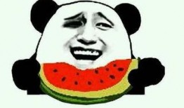 王大爷吃瓜视频大全下载,趣味横生的娱乐盛宴