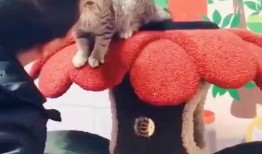 吃瓜翻车搞笑视频大全集,笑料百出！吃瓜翻车搞笑视频大盘点