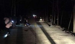 吃瓜群众死亡事件视频,悲剧背后的人性拷问
