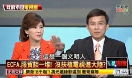 台湾名嘴吃瓜事件视频,一场舆论风波的幕后揭秘