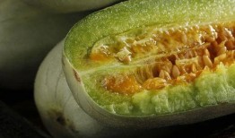 一元吃瓜视频网红,揭秘网红背后的吃瓜经济