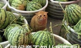 吃瓜视频在看不了,为何吃瓜视频上看不了精彩内容？