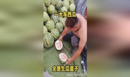 生瓜蛋子咋吃才好吃视频,视频揭秘烹饪秘诀