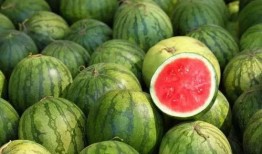 吃瓜勺子视频