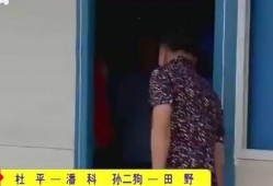 表弟和嫂子吃瓜视频大全,趣味横生的家庭娱乐时光