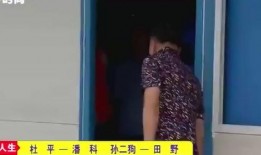 表弟和嫂子吃瓜视频大全,趣味横生的家庭娱乐时光