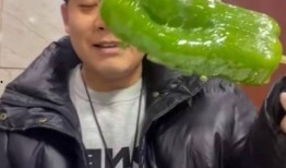 沭阳网红吃瓜事件视频,一场网络热议的瓜田奇谈