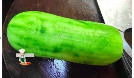 吃生瓜菜视频在线观看,在线观看吃生瓜菜视频攻略