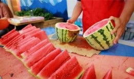 小白兔吃瓜的视频,一场甜蜜的视觉盛宴