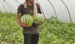 吃瓜视频柳州市,揭秘柳州本土美食与趣事