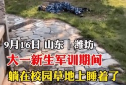 吃瓜视频大学军训,吃瓜视频里的青春回忆