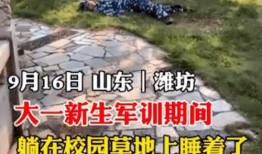 吃瓜视频大学军训,吃瓜视频里的青春回忆
