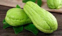 吃脆瓜完整视频,一窥视频中的清新口感与田园风情