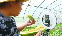 老鬼在线吃瓜视频下载,热门视频下载攻略全解析
