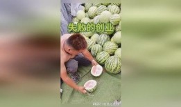 生瓜蛋子咋吃才好吃视频,视频揭秘烹饪秘诀
