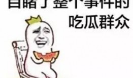 热心市民吃瓜群众视频大全,揭秘热心市民与吃瓜群众的精彩视频集锦