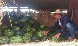 昆明本地吃瓜事件视频最新,一地鸡毛背后的网络热议与反思