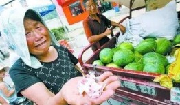 回民老阿爸吃瓜视频播放,瓜界新宠引网友热议
