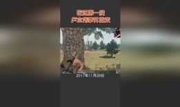 腾冲吃瓜事件始末视频,一场网络舆论的风暴与反思