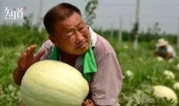 河北蔚县吃瓜事件视频,一场引发热议的网络视频风波