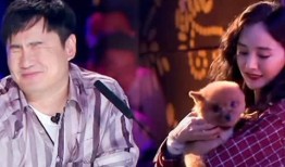 二舅爸爸吃瓜视频大全集,笑料横生，趣味盎然