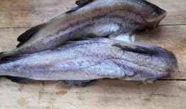 鲁班鱼吃瓜视频,揭秘网红美食背后的故事