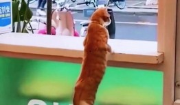 吵架旁边人吃瓜视频,吃瓜群众成焦点