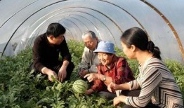 长垣太极原乡吃瓜视频,夏日消暑美食之旅