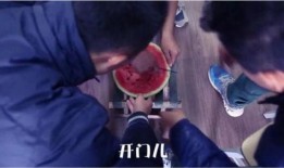 吃瓜爆笑段子视频下载,欢乐无限