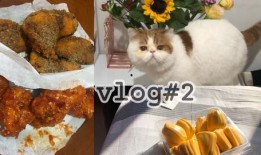 土瓜小猫咪可以吃吗视频,营养与风险并存的真相
