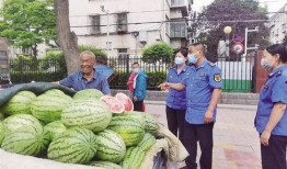 扇巴掌的视频吃瓜甘肃,一场网络狂欢背后的地域文化现象