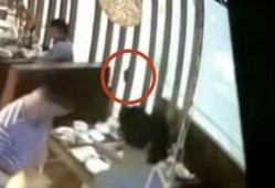 哪里还能看到吃瓜视频,吃瓜视频的聚集地一览