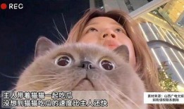 带你吃瓜猫咪叫声视频播放,视频播放引网友热议