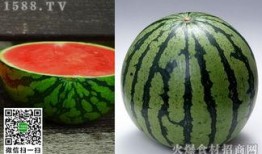 吃田瓜的吃法大全视频,视频详解多种吃法，解锁夏日清新口感