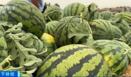 网上买吃瓜视频判多久