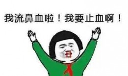 吃凉瓜流鼻血怎么办啊视频,紧急应对指南